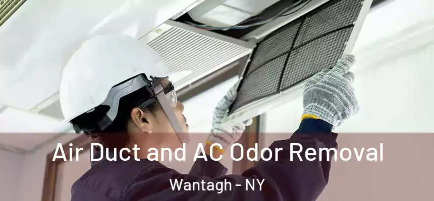 Air Duct and AC Odor Removal Wantagh - NY