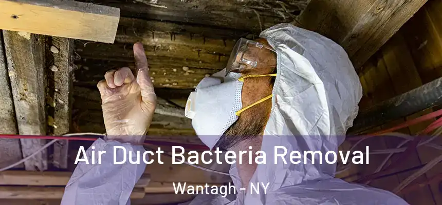  Air Duct Bacteria Removal Wantagh - NY