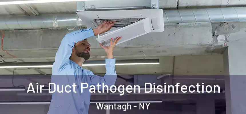 Air Duct Pathogen Disinfection Wantagh - NY