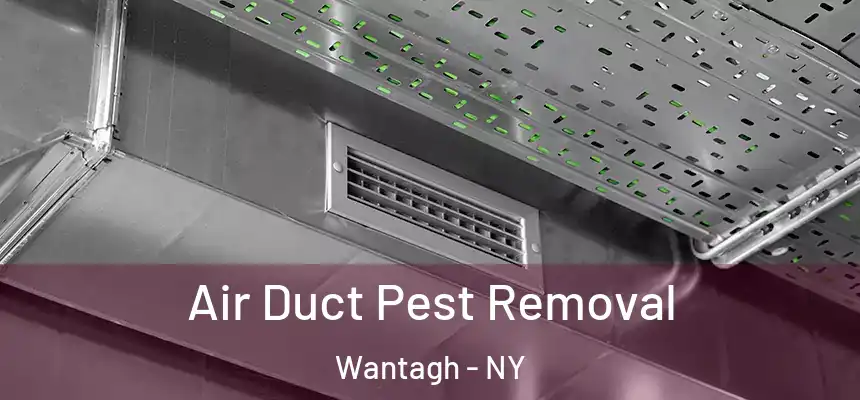 Air Duct Pest Removal Wantagh - NY