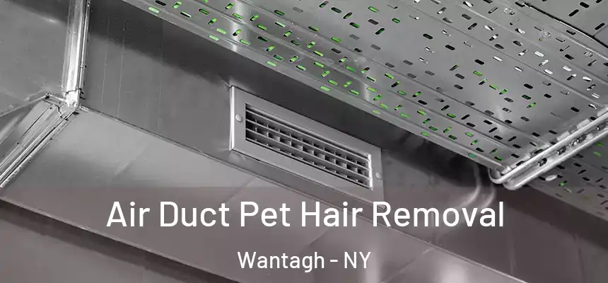 Air Duct Pet Hair Removal Wantagh - NY