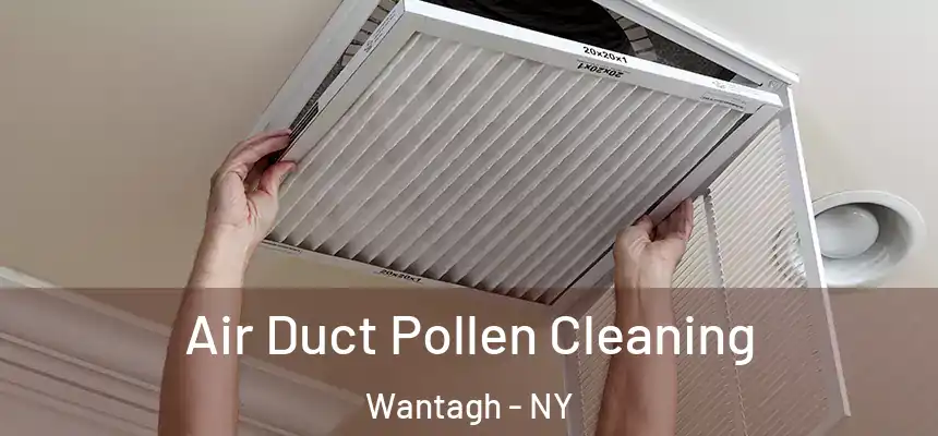  Air Duct Pollen Cleaning Wantagh - NY