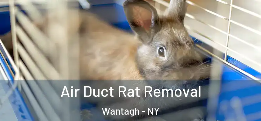 Air Duct Rat Removal Wantagh - NY