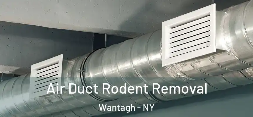 Air Duct Rodent Removal Wantagh - NY