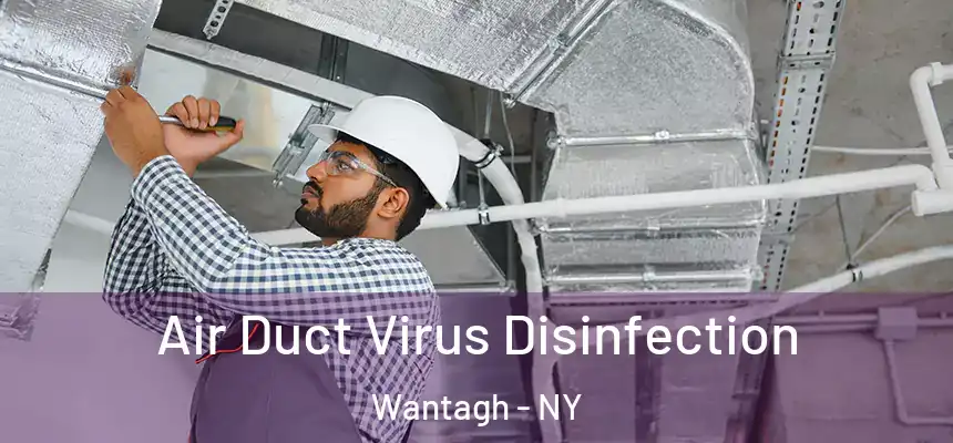 Air Duct Virus Disinfection Wantagh - NY