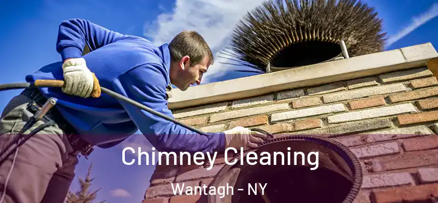 Chimney Cleaning Wantagh - NY