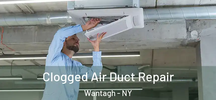 Clogged Air Duct Repair Wantagh - NY