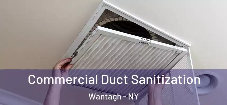 Commercial Duct Sanitization Wantagh - NY
