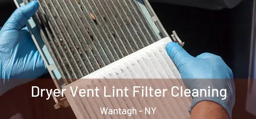  Dryer Vent Lint Filter Cleaning Wantagh - NY
