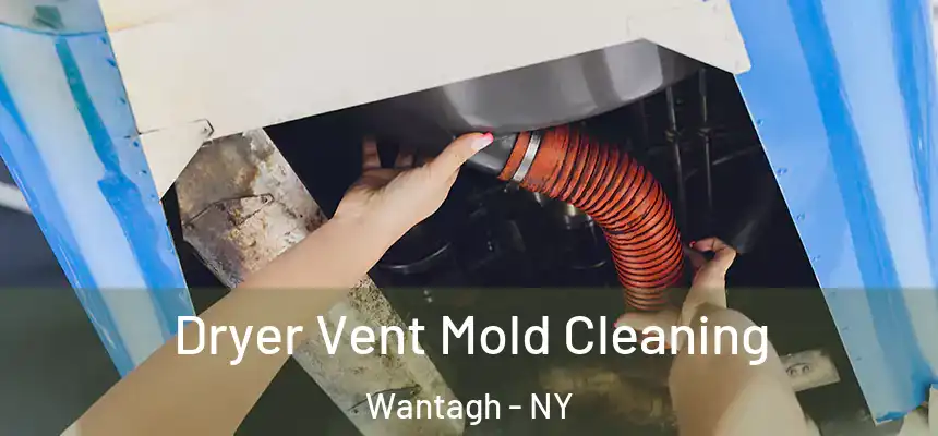  Dryer Vent Mold Cleaning Wantagh - NY