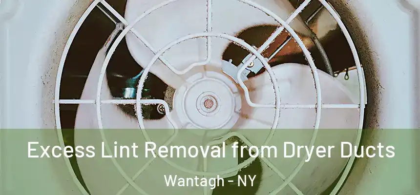 Excess Lint Removal from Dryer Ducts Wantagh - NY
