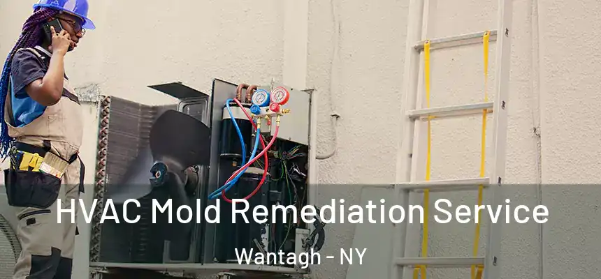 HVAC Mold Remediation Service Wantagh - NY