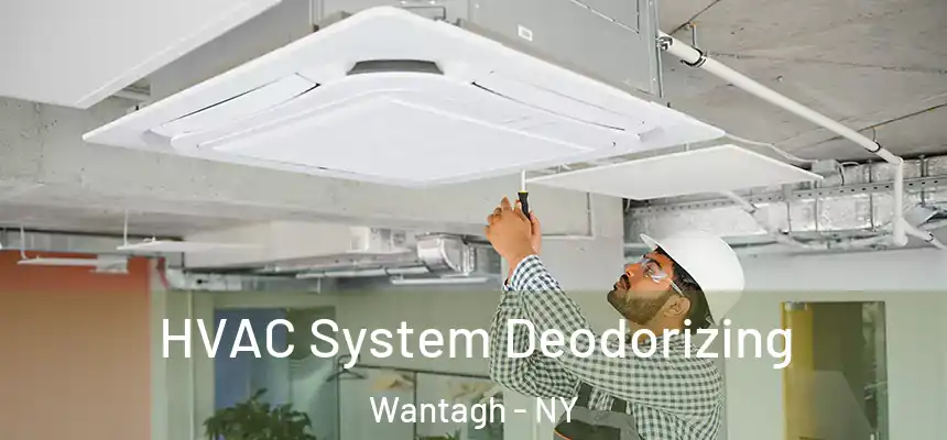 HVAC System Deodorizing Wantagh - NY
