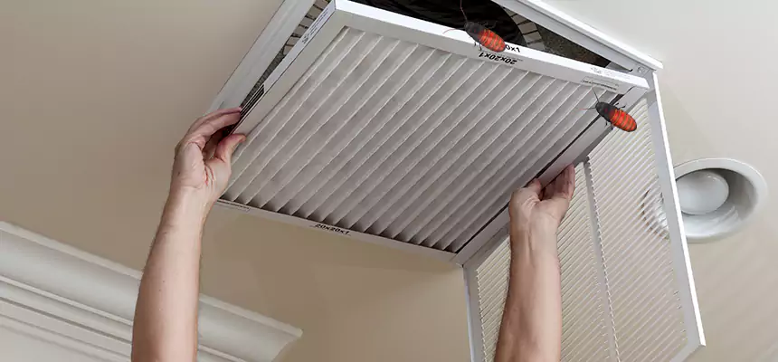 Preventive Cockroach-Proofing for Ducts in Wantagh