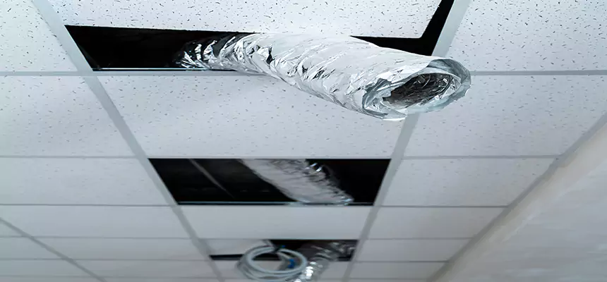 Our Air Duct Pet Hair Removal Services in Wantagh, NY