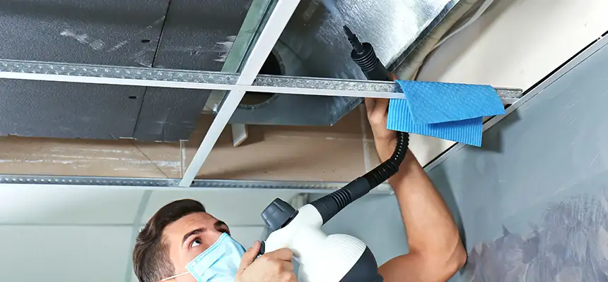 Our Air Duct Rodent Removal Services in Wantagh, NY