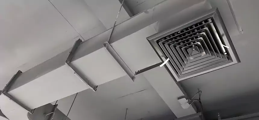 Restorative Allergy Relief Vent Cleaning – Coil, Blower & Housing Detail in Wantagh