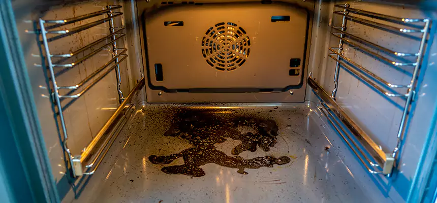 Our Dryer Vent Mold Cleaning Services in Wantagh, NY