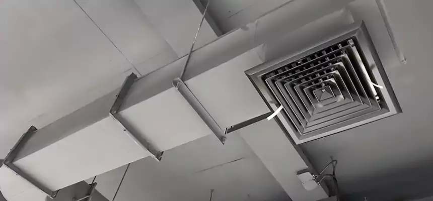 Our Pest Removal From Ducts Services in Wantagh, NY