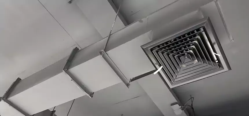 Our Rodent Droppings In Vents Services in Wantagh, NY