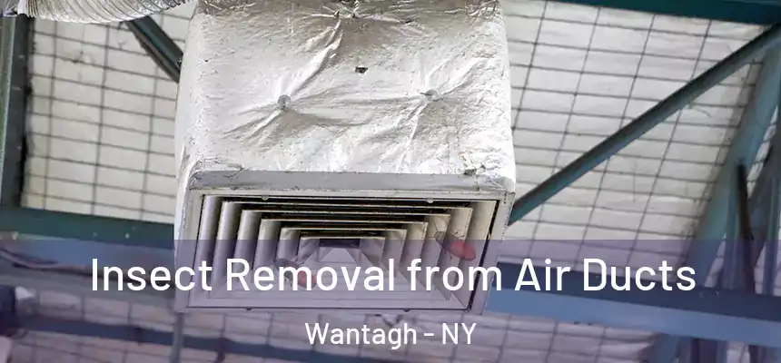 Insect Removal from Air Ducts Wantagh - NY