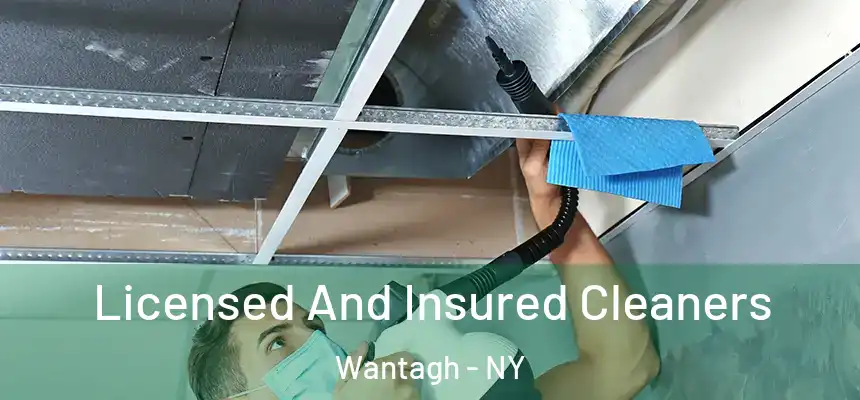  Licensed And Insured Cleaners Wantagh - NY