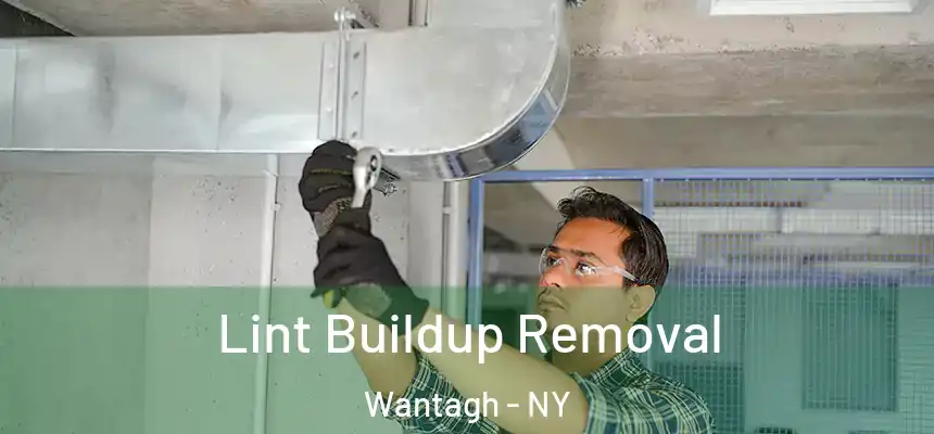  Lint Buildup Removal Wantagh - NY