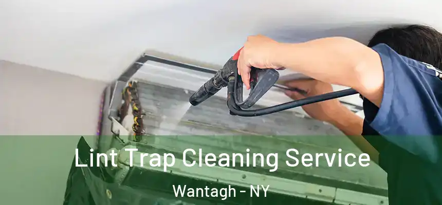 Lint Trap Cleaning Service Wantagh - NY