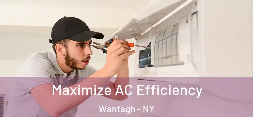 Maximize AC Efficiency Wantagh - NY
