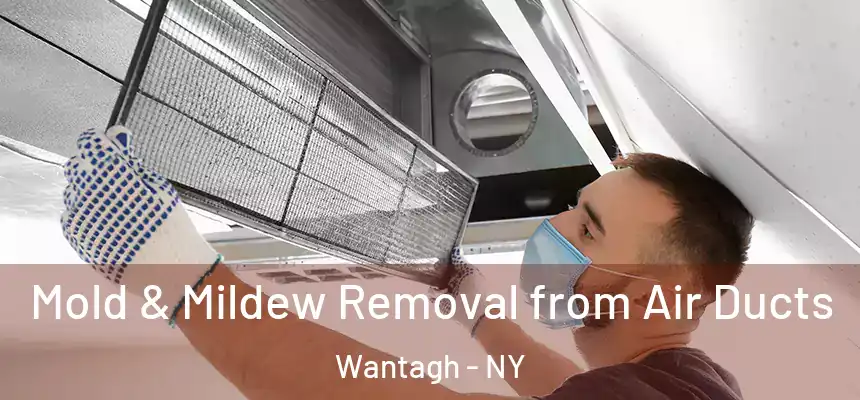 Mold & Mildew Removal from Air Ducts Wantagh - NY