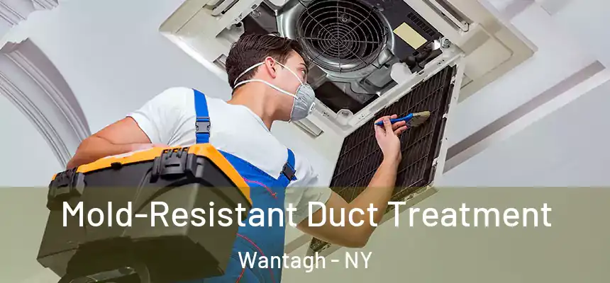  Mold-Resistant Duct Treatment Wantagh - NY
