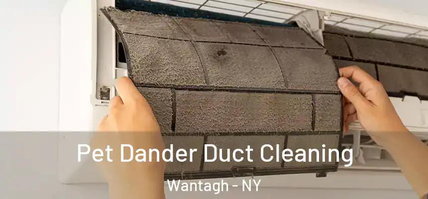 Pet Dander Duct Cleaning Wantagh - NY