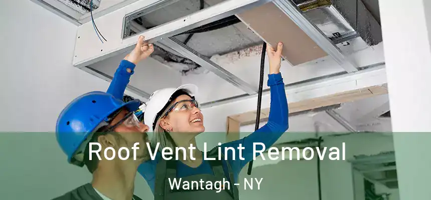  Roof Vent Lint Removal Wantagh - NY