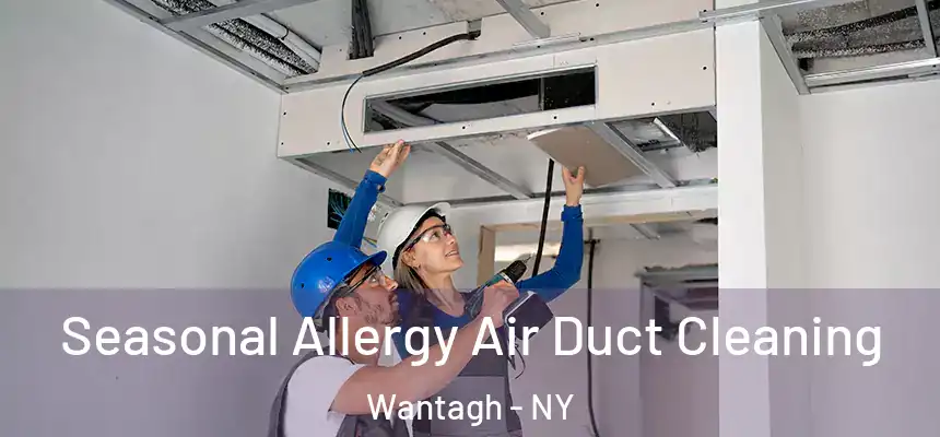 Seasonal Allergy Air Duct Cleaning Wantagh - NY