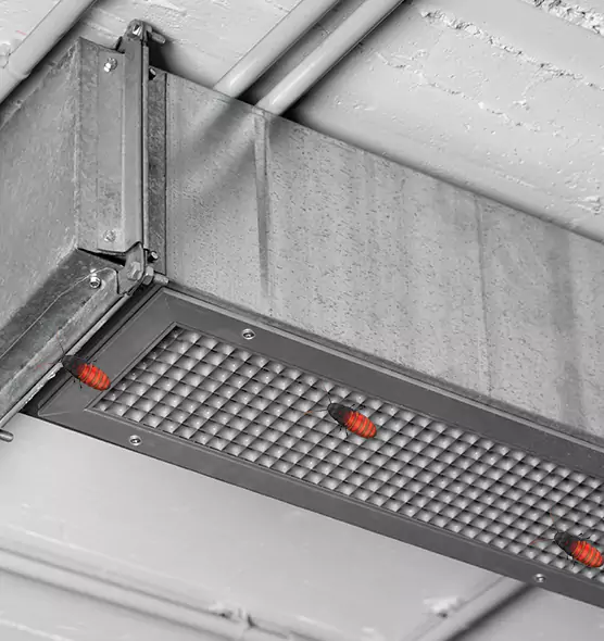 About Air Duct Cockroach Removal in Wantagh, NY