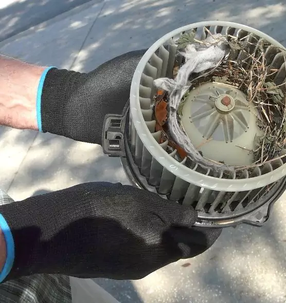 About Air Duct Mice Removal in Wantagh, NY