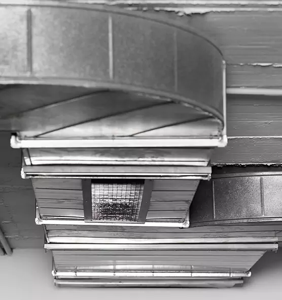 Professional Air Duct Pest Removal in Wantagh, NY