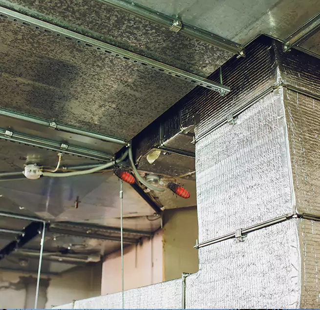 Why Homeowners & Businesses Trust Us in Wantagh, NY?