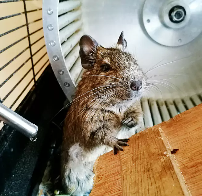 Why Homeowners & Businesses Trust Us Wantagh, NY?