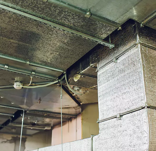 Why Homeowners & Businesses Trust Us in Wantagh, NY?