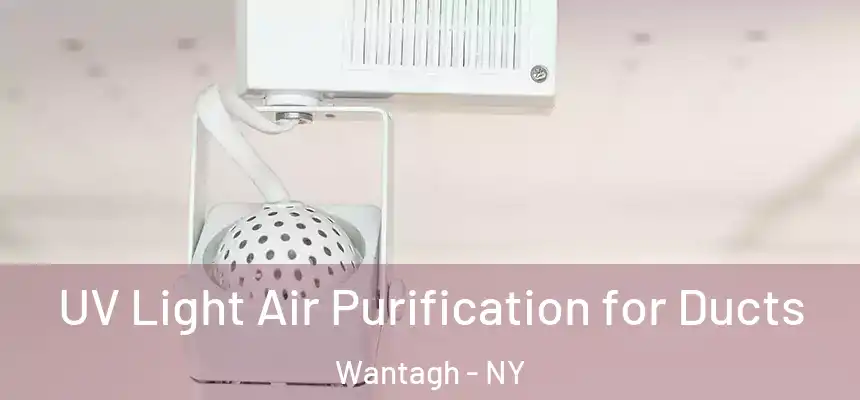  UV Light Air Purification for Ducts Wantagh - NY